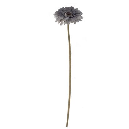 Picture of 53cm SINGLE GERBERA DRY COLOUR GREY