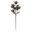 Picture of 67cm TEASEL SPRAY DRY COLOUR GREY