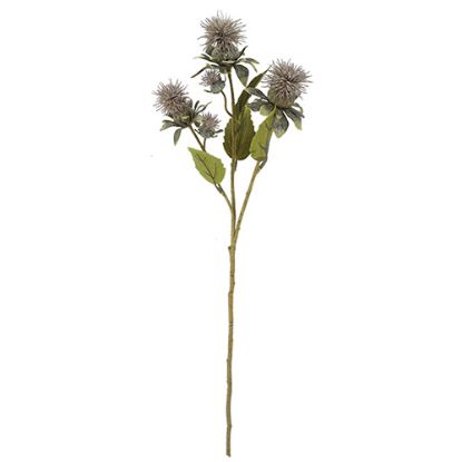 Picture of 57cm THISTLE SPRAY DRY COLOUR GREY