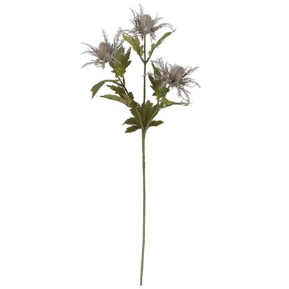 Picture of 66cm ERYNGIUM (SEA HOLLY) SPRAY DRY COLOUR GREY