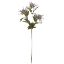Picture of 66cm ERYNGIUM (SEA HOLLY) SPRAY DRY COLOUR GREY