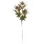 Picture of 66cm ERYNGIUM (SEA HOLLY) SPRAY DRY COLOUR LILAC/PURPLE