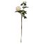 Picture of 67cm ROSE SPRAY IVORY