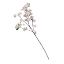 Picture of 90cm BLOSSOM SPRAY LIGHT PINK/IVORY/LILAC