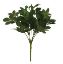 Picture of 31cm EUONYMUS BUSH GREEN