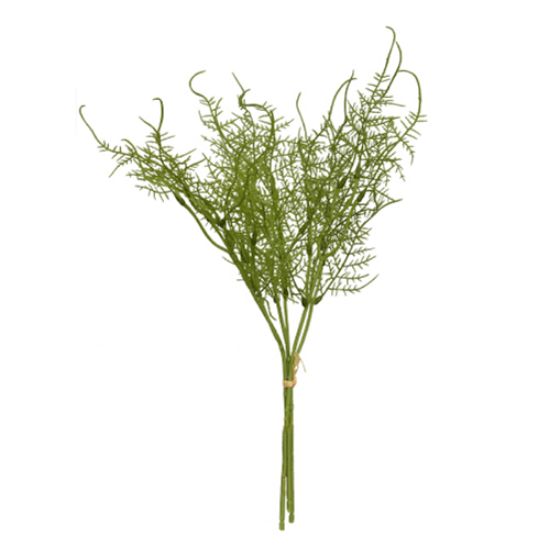 Picture of 40cm ASPARAGUS FERN BUNDLE GREEN