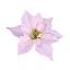 Picture of 17cm SINGLE POINSETTIA HEAD PINK/GOLD X 12pcs