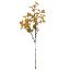 Picture of 63cm FORGET-ME-NOT SPRAY DRY COLOUR ORANGE