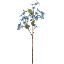 Picture of 63cm FORGET-ME-NOT SPRAY DRY COLOUR TEAL