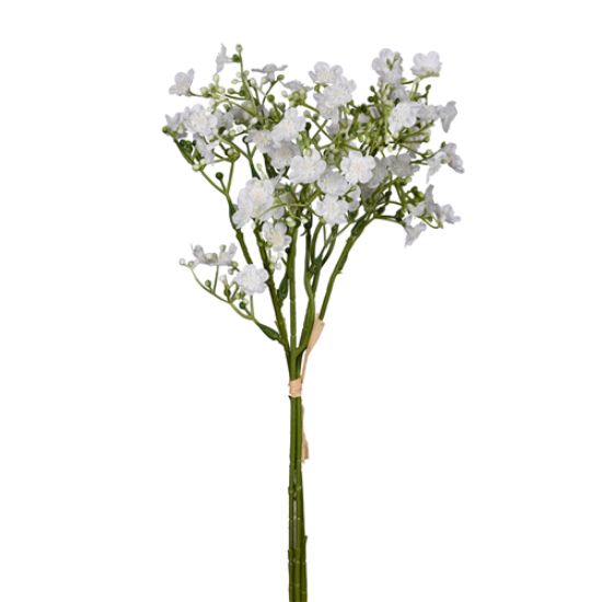 Picture of 36cm FORGET ME NOT BUNDLE WHITE