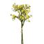 Picture of 36cm FORGET ME NOT BUNDLE YELLOW
