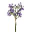 Picture of 36cm FORGET ME NOT BUNDLE PURPLE