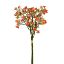 Picture of 36cm FORGET ME NOT BUNDLE ORANGE