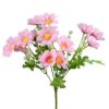 Picture of 30cm COSMOS BUSH ASSORTED X 48pcs