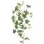 Picture of 79cm IVY TRAIL GREEN