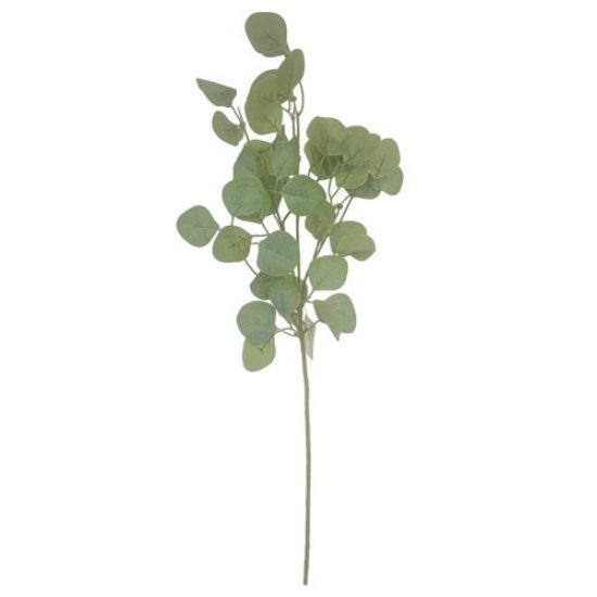 Picture of 80cm EUCALYPTUS SPRAY GREY/GREEN