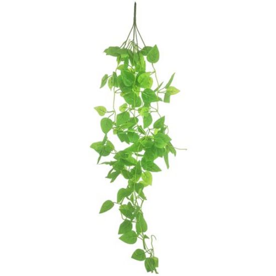 Picture of 100cm TRAILING POTHOS BUSH GREEN