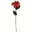 Picture of 66cm SINGLE POINSETTIA WITH GLITTER RED