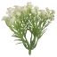 Picture of 10.5cm GYP CLUSTER WHITE X 24pcs