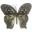 Picture of 8cm BUTTERFLY ON WIRE BLACK X 36pcs