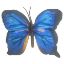 Picture of 8cm BUTTERFLY ON WIRE ROYAL BLUE/BLACK X 36pcs