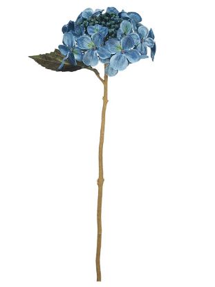 Picture of 52cm BUDDING HYDRANGEA DRY COLOUR TEAL