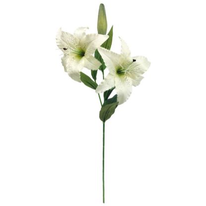 Picture of 72cm TIGER LILY SPRAY IVORY