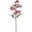Picture of 52cm REAL TOUCH DAPHNE SPRAY PINK