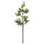 Picture of 52cm REAL TOUCH DAPHNE SPRAY GREEN