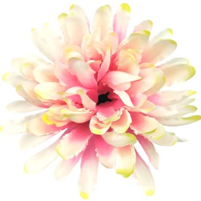 Picture of 11cm LARGE CHRYSANTHEMUM PICK CREAM/PINK X 144pcs (IN POLYBAG)