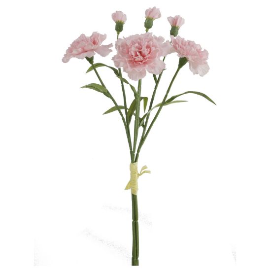 Picture of 40cm CARNATION BUNDLE (3 STEMS) WITH RAFFIA TIE SOFT PINK