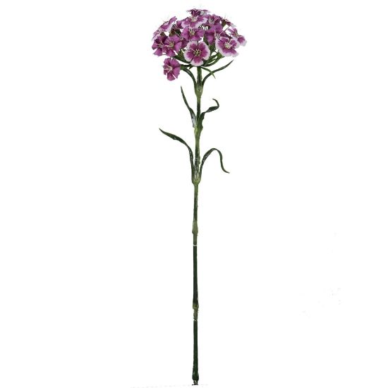 Picture of 55cm DIANTHUS SPRAY PURPLE