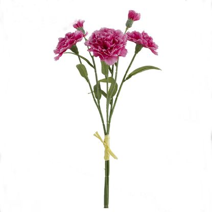 Picture of 40cm CARNATION BUNDLE (3 STEMS) WITH RAFFIA TIE BEAUTY/CREAM