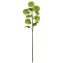 Picture of 77cm SNOWBALL SPRAY GREEN