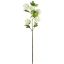 Picture of 77cm SNOWBALL SPRAY IVORY