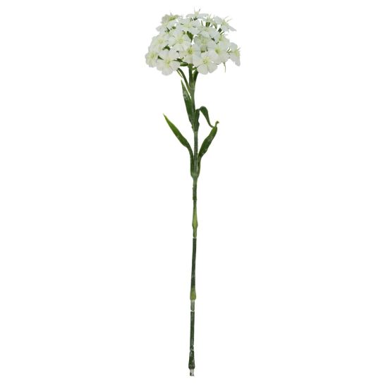 Picture of 55cm DIANTHUS SPRAY IVORY