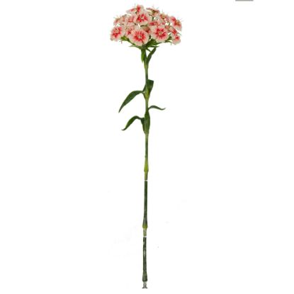 Picture of 55cm DIANTHUS SPRAY PEACH/RED