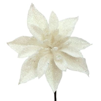 Picture of 12cm SINGLE POINSETTIA WHITE X 48pcs