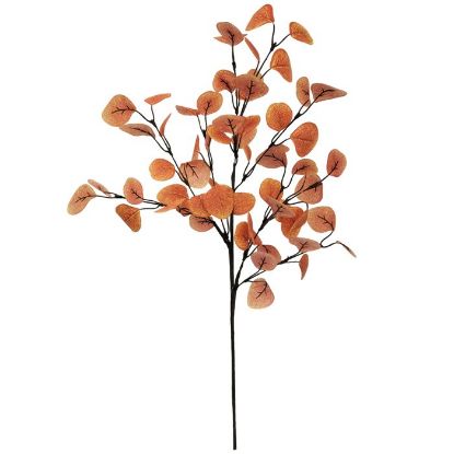 Picture of 70cm EUCALYPTUS SPRAY ORANGE/BROWN