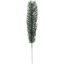 Picture of 30cm SPRUCE SPRAY GREEN X 12pcs