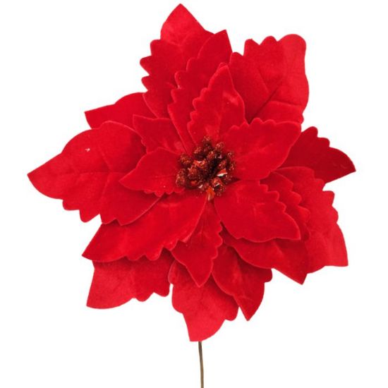 Picture of 20cm SINGLE POINSETTIA RED