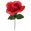 Picture of SINGLE 7 INCH OPEN ROSE RED X 144pcs