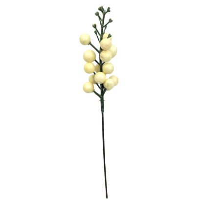 Picture of 27cm BERRY PICK IVORY PACK OF 12pcs