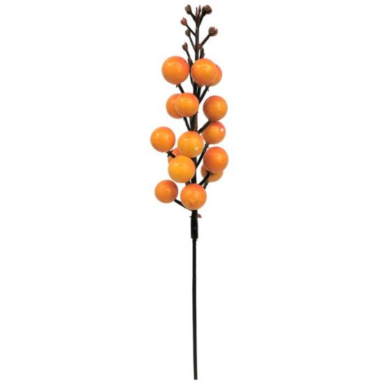 Picture of 27cm BERRY PICK ORANGE PACK OF 12pcs