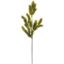 Picture of 66cm PINE SPRAY MUSTARD/GREEN