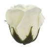 Picture of SINGLE SCENTED SOAP ROSE FLOWER HEAD IN DISPLAY BOX IVORY X 50pcs