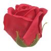 Picture of SINGLE SCENTED SOAP ROSE FLOWER HEAD IN DISPLAY BOX RED X 50pcs