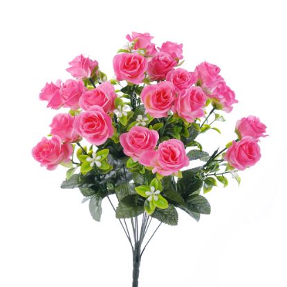 Picture of 52cm MINI ROSE BUSH PINK