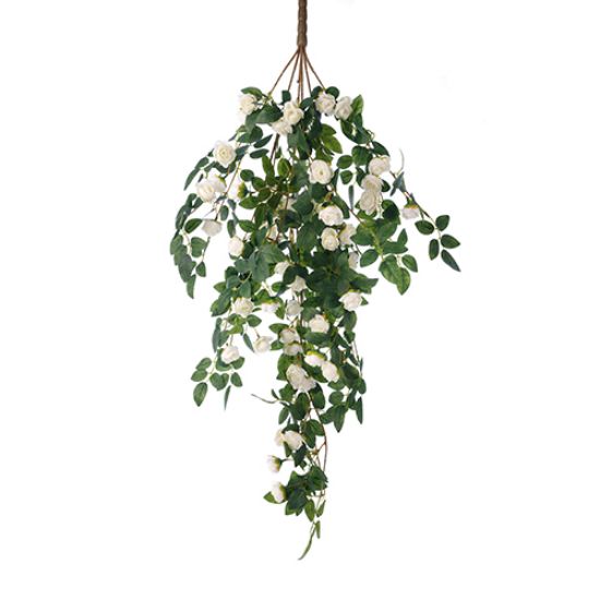 Picture of 80cm LARGE TRAILING MINI ROSE BUSH IVORY