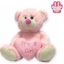 Picture of 38cm (15 INCH) SNUGGLE BEARS SITTING BABY BEAR WITH ITS A GIRL HEART PINK